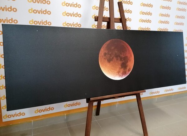 Stampa su tela – Luna nel cielo notturno