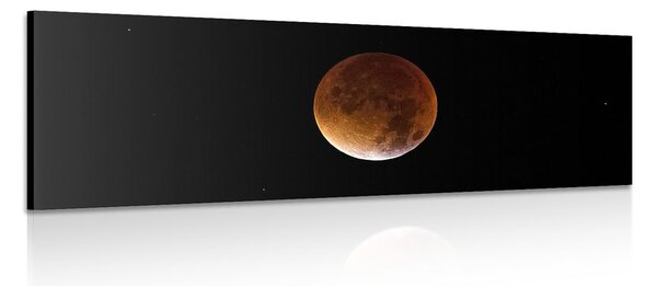 Stampa su tela – Luna nel cielo notturno