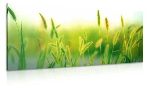 Stampa su tela – Steli d'erba in verde