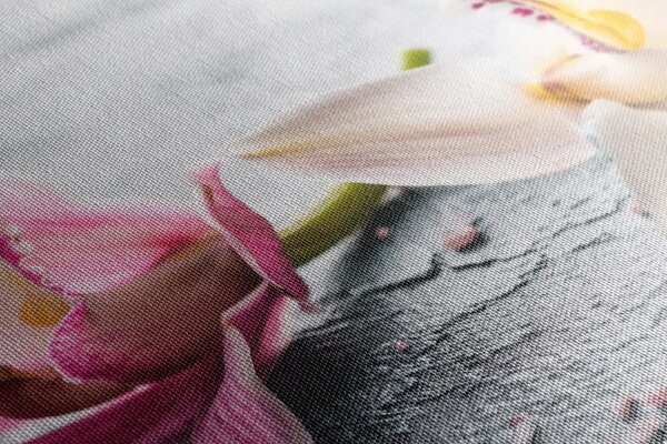 Stampa su tela – Due fiori colorati di orchidea