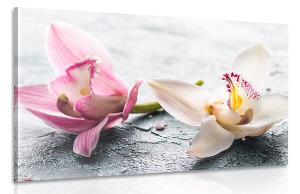 Stampa su tela – Due fiori colorati di orchidea