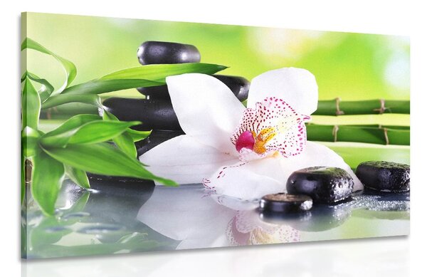Quadro su tela – Orchidea giapponese
