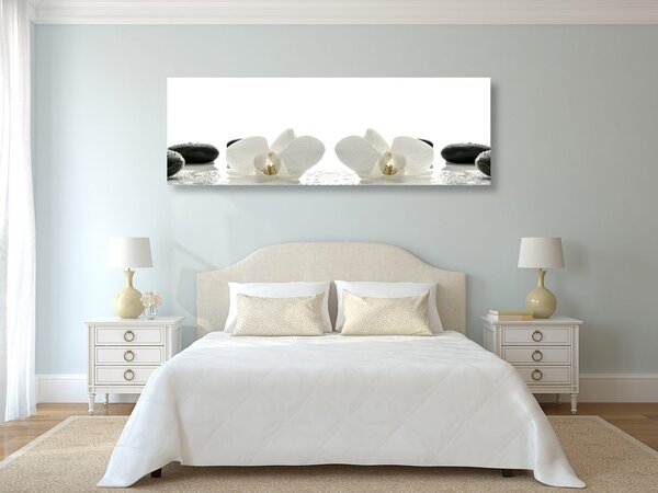 Quadro su tela – Fiori bianchi di orchidea