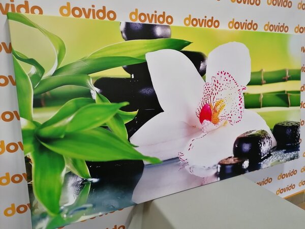 Stampa su tela – Orchidea con tema giapponese