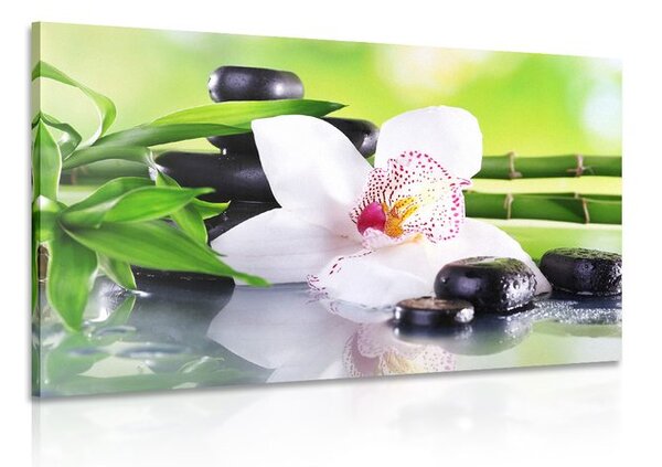 Quadro su tela – Orchidea giapponese