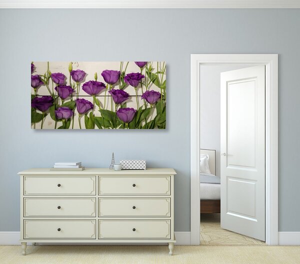 Stampa su tela – Splendidi fiori viola