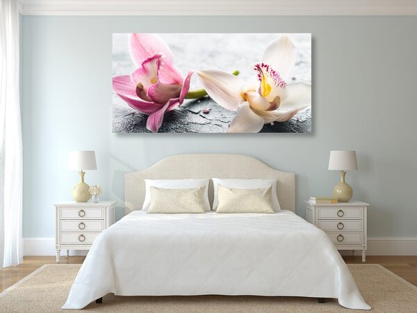 Quadro su tela – Fiori di orchidea