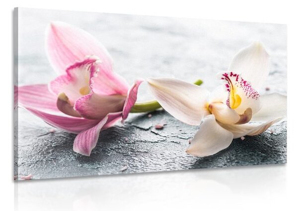 Stampa su tela – Due fiori colorati di orchidea