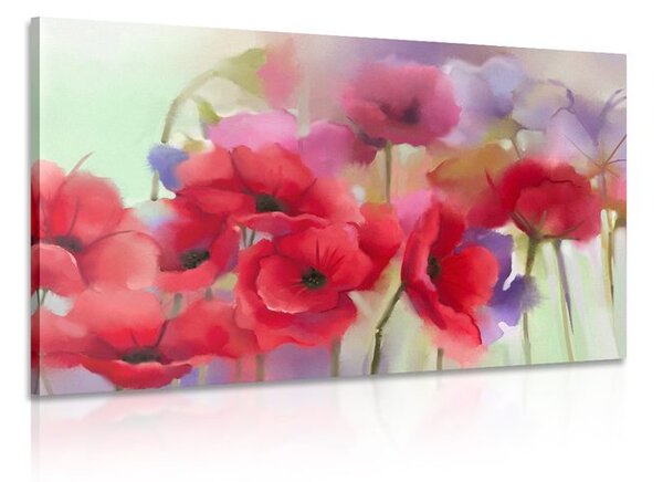 Quadro su tela – Splendidi papaveri disegnati