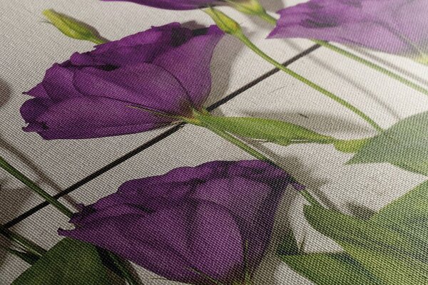 Stampa su tela – Splendidi fiori viola