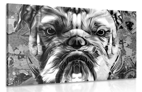 Stampa su tela – Bulldog in bianco e nero
