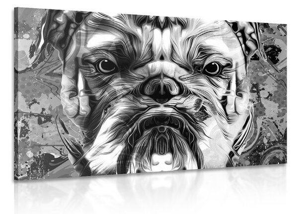 Stampa su tela – Bulldog in bianco e nero