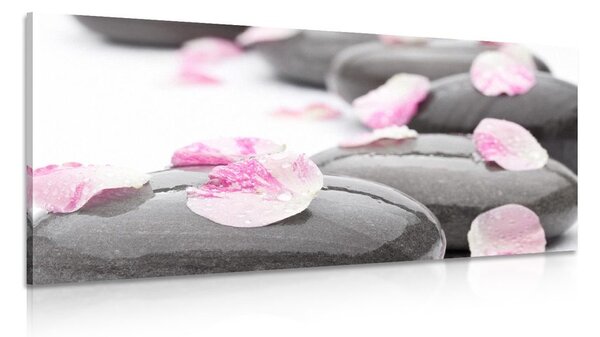 Quadro su tela – Pietre wellness con petali