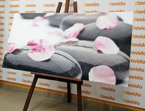 Quadro su tela – Pietre wellness con petali