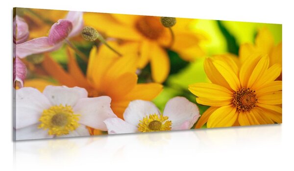 Quadro su tela – Bouquet estivo