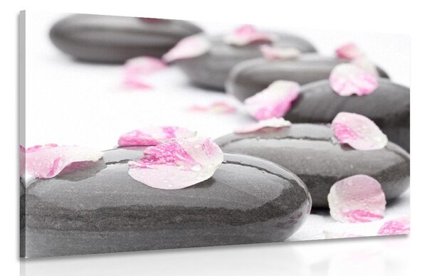 Stampa su tela – Petali su pietre wellness