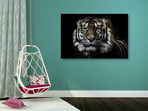 Stampa su tela – Tigre
