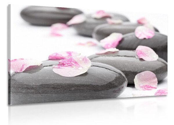 Stampa su tela – Petali su pietre wellness