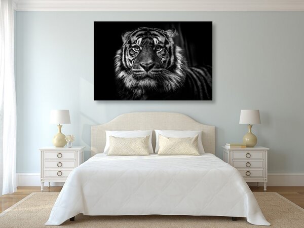 Quadro su tela – Tigre in bianco e nero