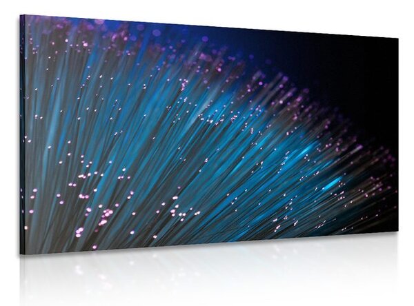 Quadro su tela – Fibra ottica