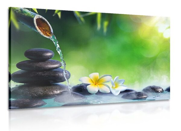 Quadro su tela – Armonia nel giardino Zen