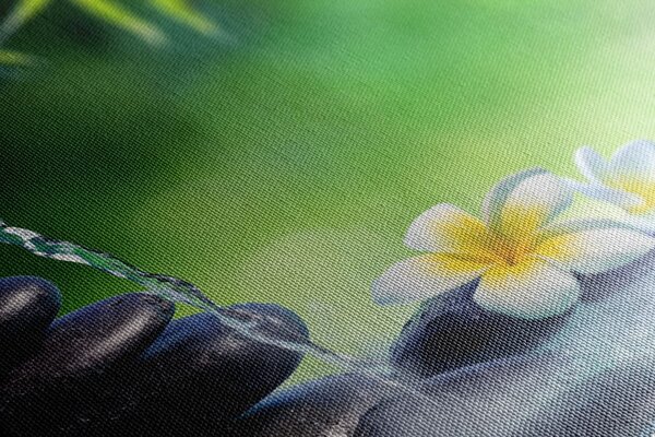 Quadro su tela – Armonia nel giardino Zen