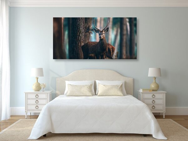 Quadro su tela – Cervo nel bosco