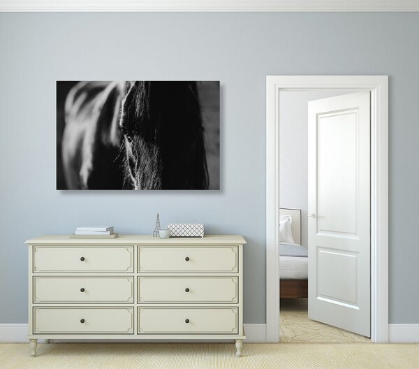 Quadro su tela – Cavallo maestoso in bianco e nero