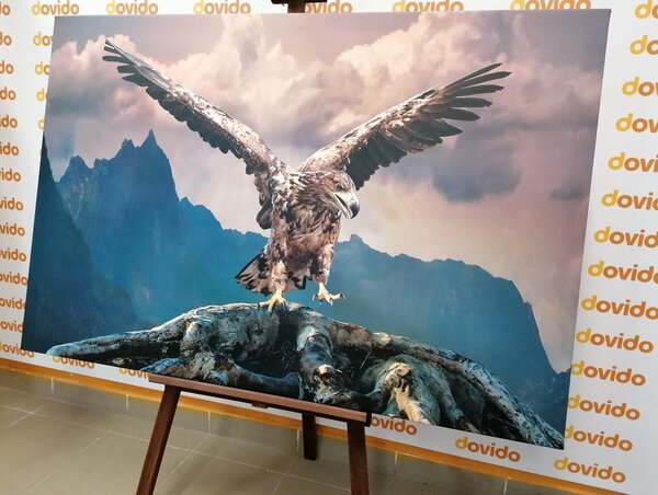 Stampa su tela – Aquila con ali spiegate sopra le montagne