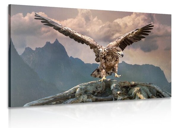 Stampa su tela – Aquila con ali spiegate sopra le montagne