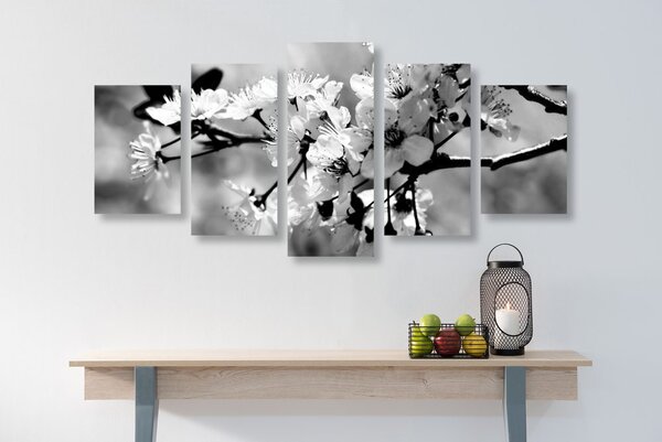 Quadri 5 pezzi – Fiore di ciliegio in bianco e nero