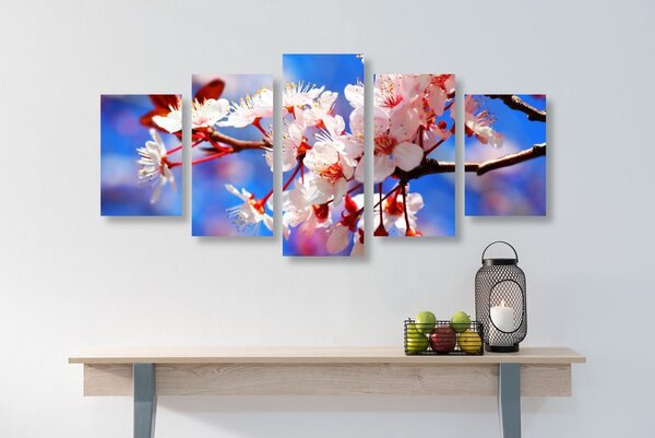 Quadri 5 pezzi – Fiore di ciliegio