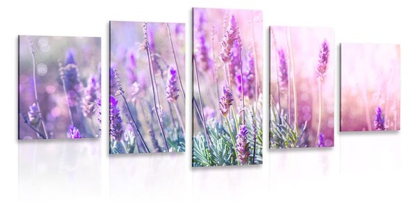 Quadri 5 pezzi – Fiori magici di lavanda