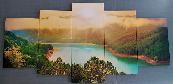 Quadri 5 pezzi – Fiume tra la foresta verde