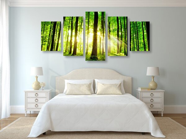 Quadri 5 pezzi – Foresta verde fresca