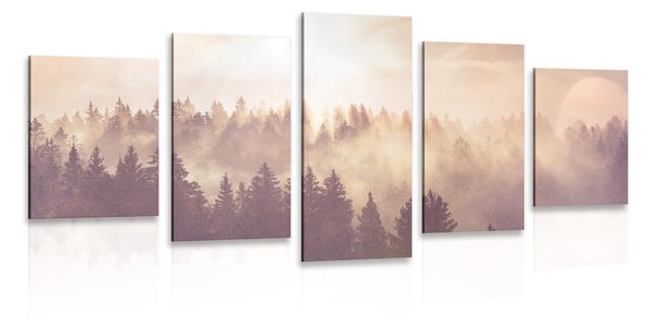 Quadri 5 pezzi – Nebbia sulla foresta