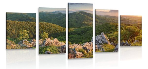 Quadri 5 pezzi – Natura baciata dal sole