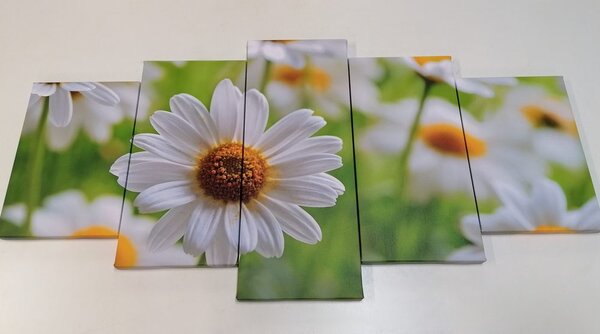 Quadri 5 pezzi – Prato primaverile pieno di fiori