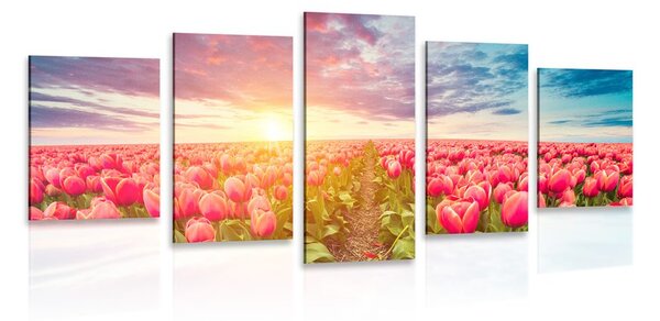 Quadri 5 pezzi – Alba su un campo di tulipani