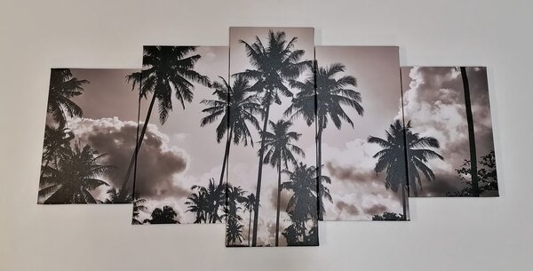 Quadri 5 pezzi – Palme da cocco sulla spiaggia in bianco e nero