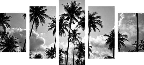 Quadri 5 pezzi – Palme da cocco sulla spiaggia in bianco e nero