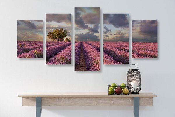 Quadri 5 pezzi – Terra dei campi di lavanda