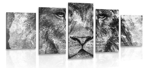 Quadri 5 pezzi – Volto di leone in bianco e nero