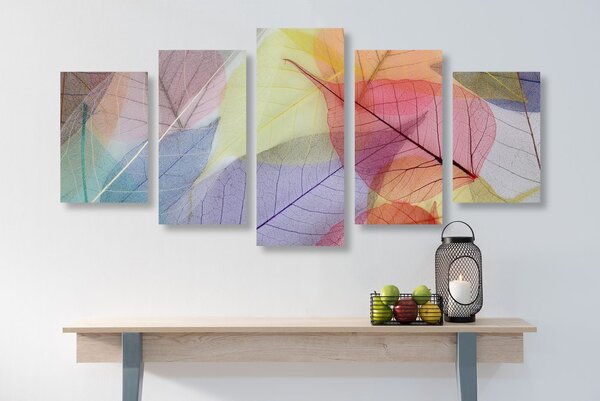 Quadri 5 pezzi – Venature su foglie colorate