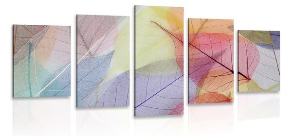 Quadri 5 pezzi – Venature su foglie colorate