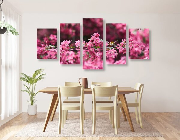 Quadri 5 pezzi – Fiore di ciliegio dettagliato