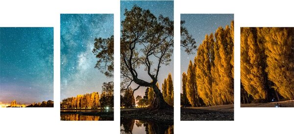 Quadri 5 pezzi – Albero sotto il cielo stellato