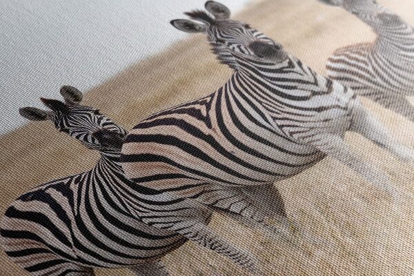 Stampa su tela – Tre zebre nella savana