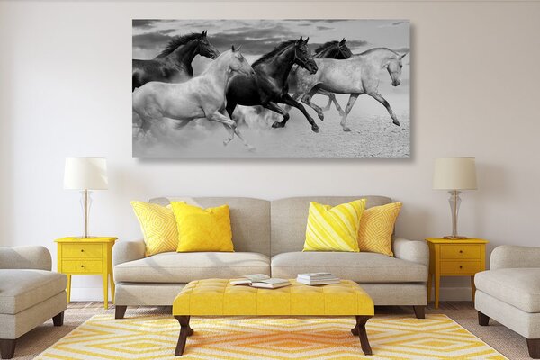 Quadro su tela – Branco di cavalli in bianco e nero