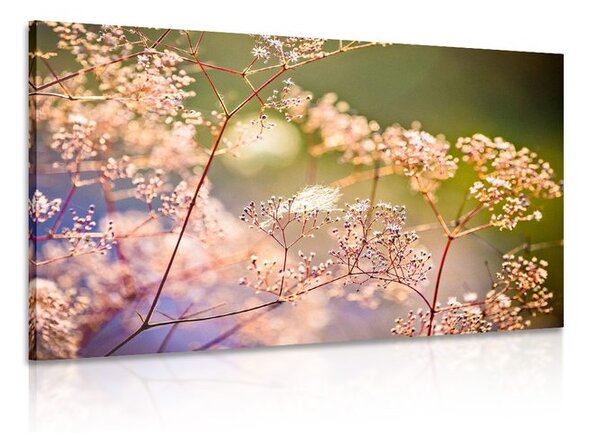 Stampa su tela – Natura morta di fiori